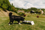 HUNGRY RIVER OUTDOOR - slika 2